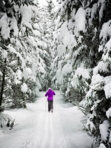 Una persona practica esquí nórdico en una pista que atraviesa pinos cubiertos de nieve.